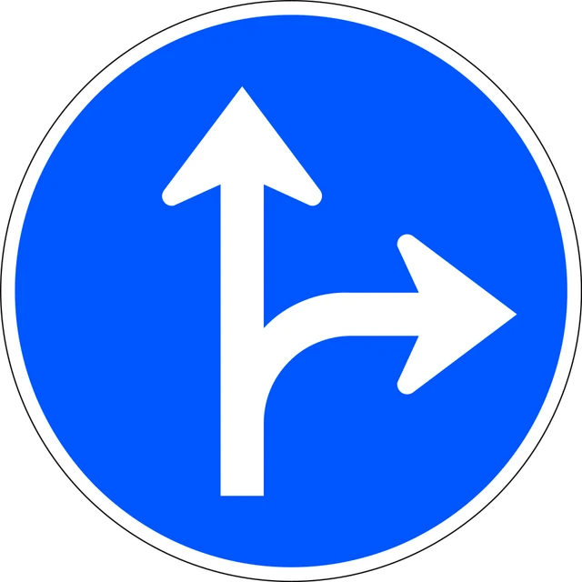 Ahead or turn left only