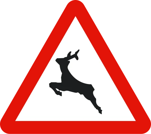 Wild animals ahead