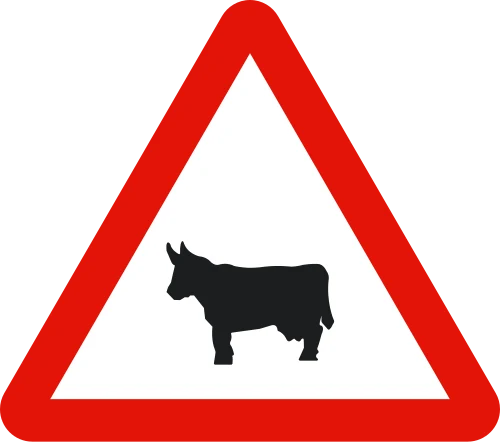 Farm animals crossing