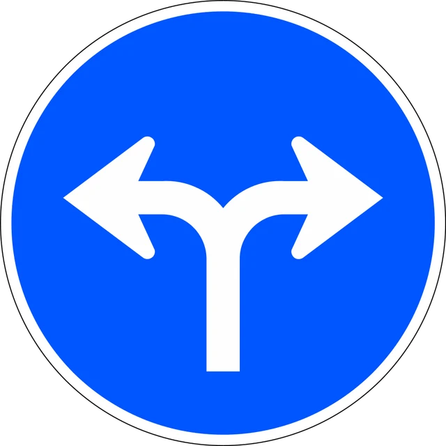 Vehicles may only proceed in the direction indicated